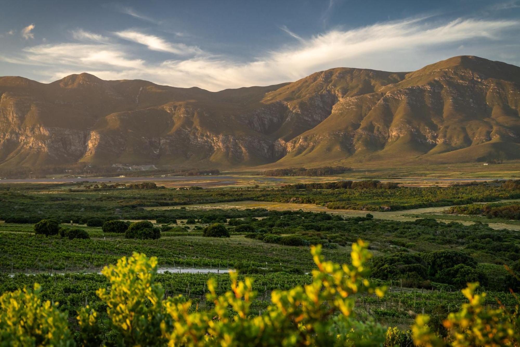 סטנפורד Springfontein River Lodge מראה חיצוני תמונה