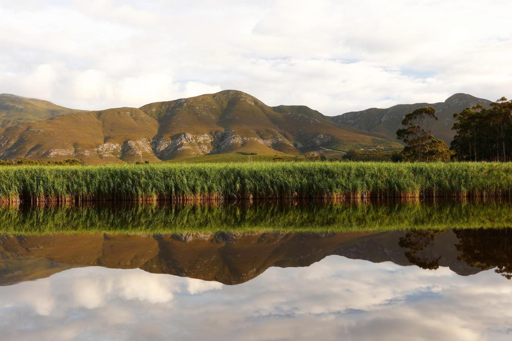 סטנפורד Springfontein River Lodge מראה חיצוני תמונה